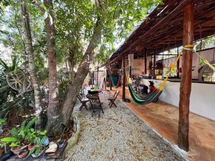Hostal Mulut تولوم المظهر الخارجي الصورة