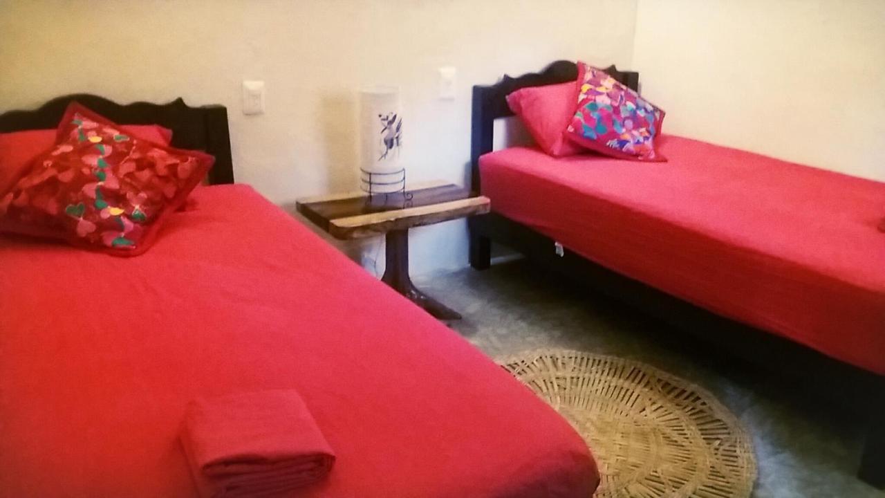 Hostal Mulut تولوم المظهر الخارجي الصورة