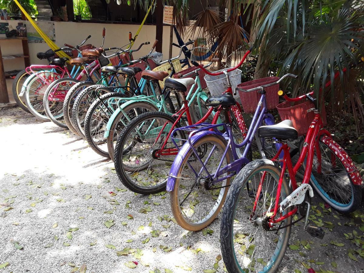 Hostal Mulut تولوم المظهر الخارجي الصورة